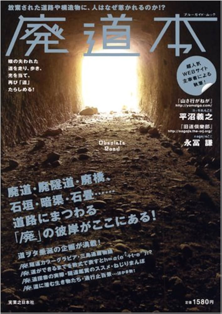 Amazon.co.jp: 廃道本(ブルーガイド・ムック) : 平沼 義之, 永冨